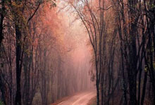 决胜之战!谁将龙马精神,力挫强敌?