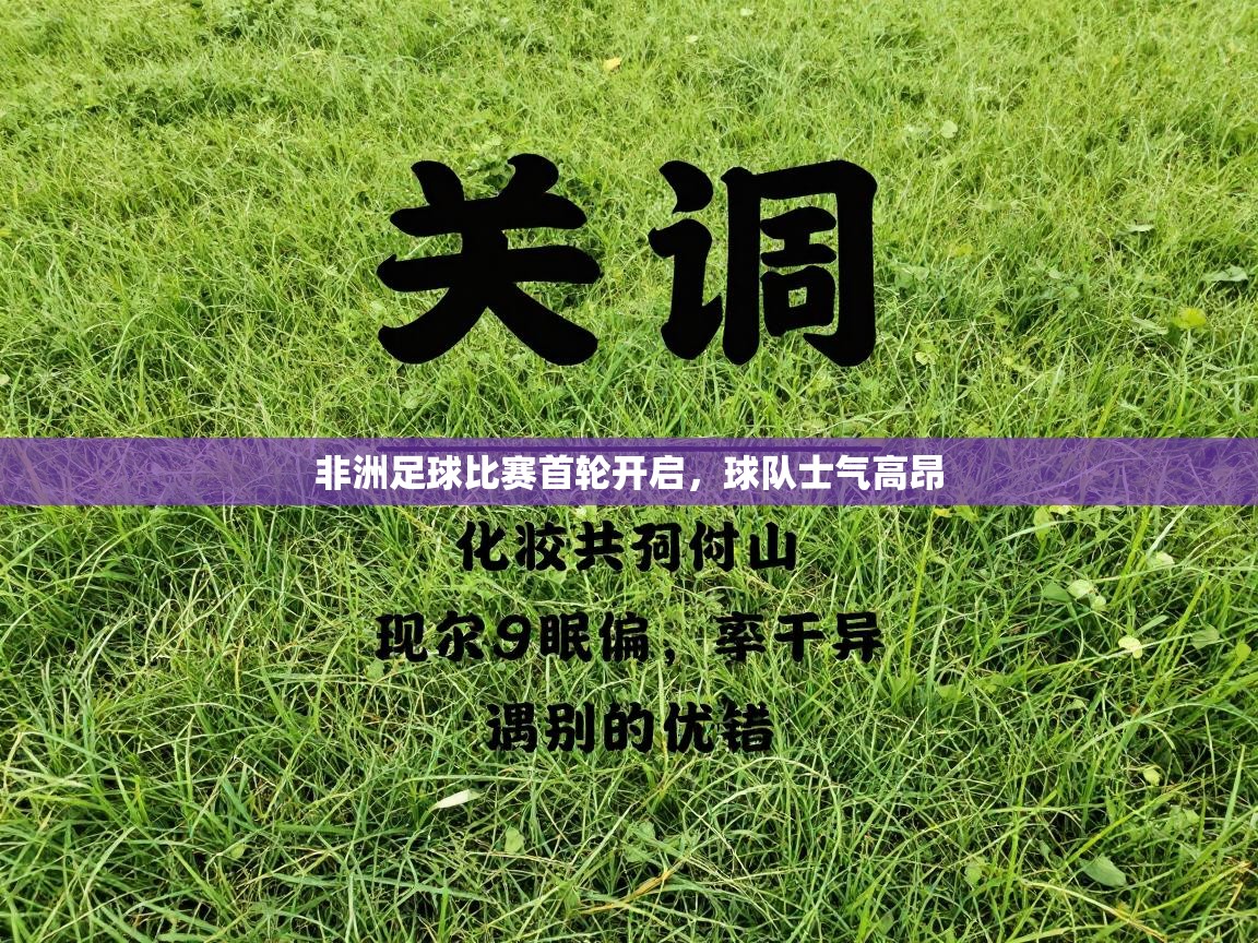 非洲足球比赛首轮开启,球队士气高昂 第1张