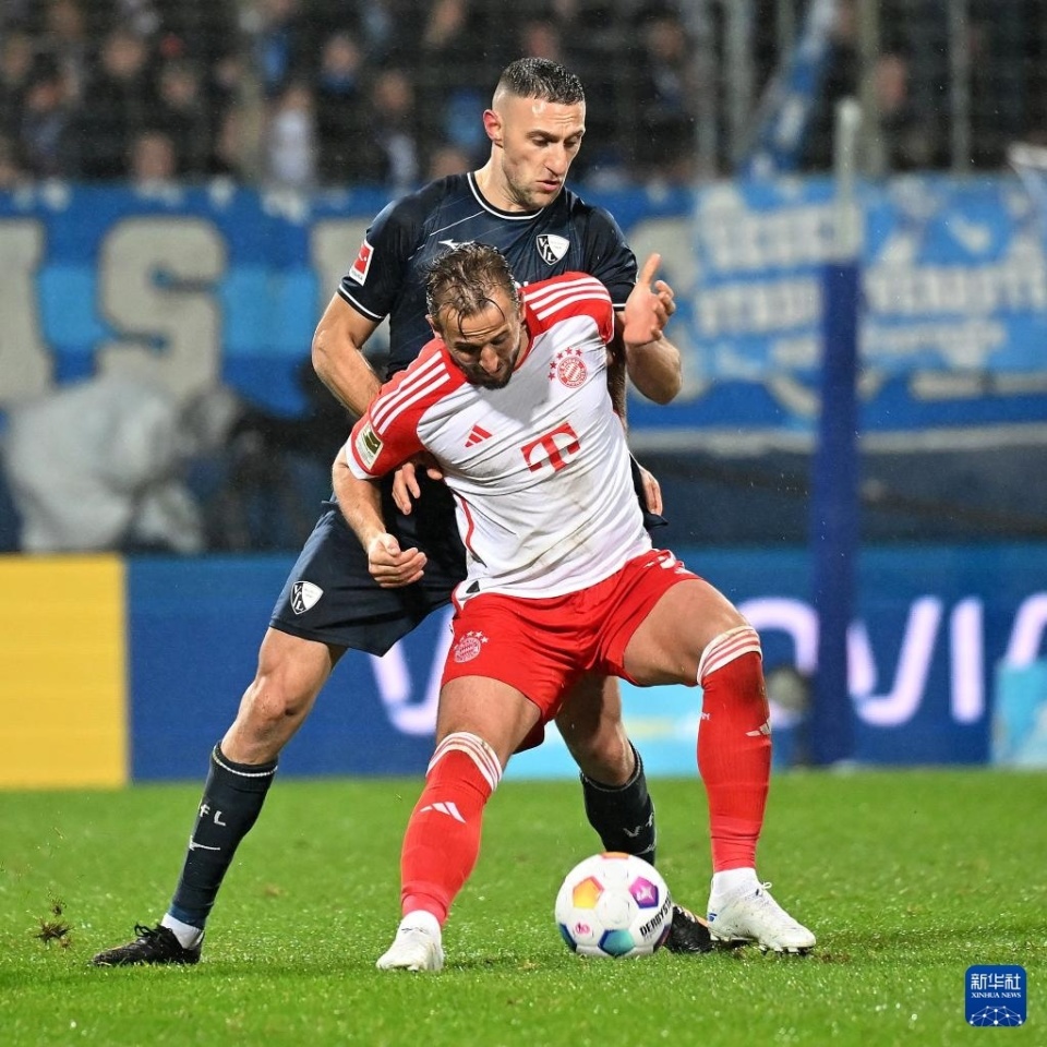 波鸿主帅下课,球队需要新的领导 波鸿主帅下课,球队需要新的领导